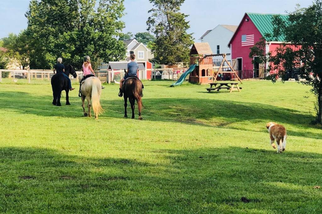 Beautiful Equestrian Estate Home W/ Hot Tub! Loveland Eksteriør billede