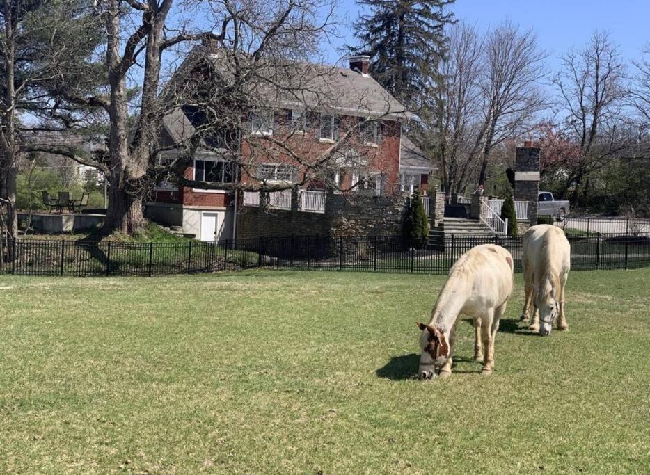 Beautiful Equestrian Estate Home W/ Hot Tub! Loveland Eksteriør billede