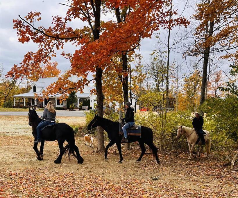 Beautiful Equestrian Estate Home W/ Hot Tub! Loveland Eksteriør billede