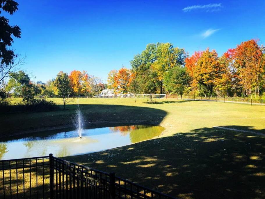 Beautiful Equestrian Estate Home W/ Hot Tub! Loveland Eksteriør billede